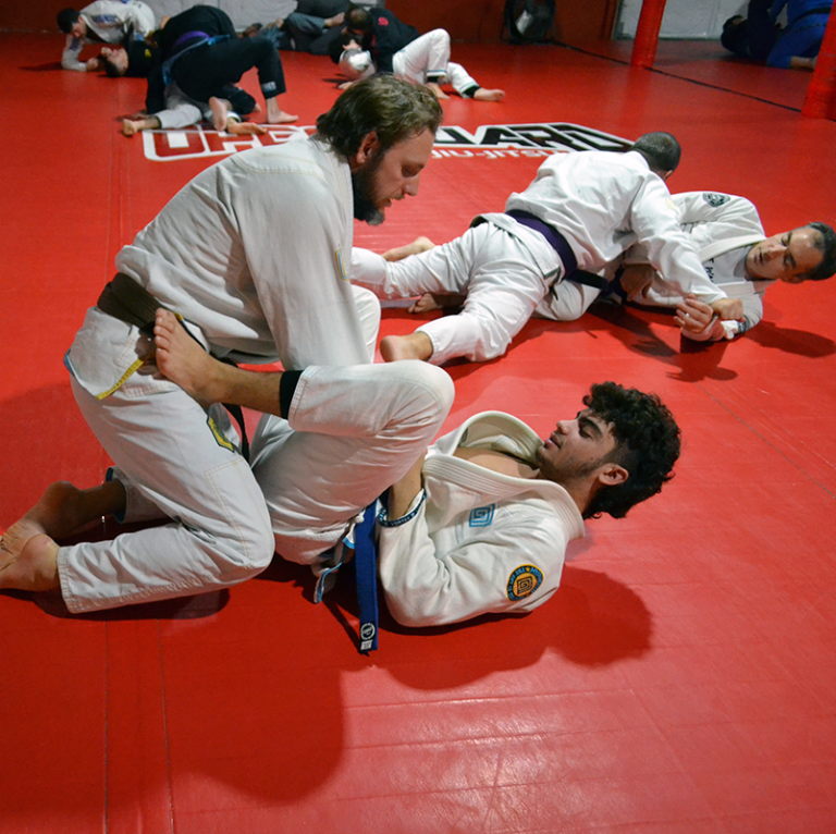 Adult BJJ in Apex, NC